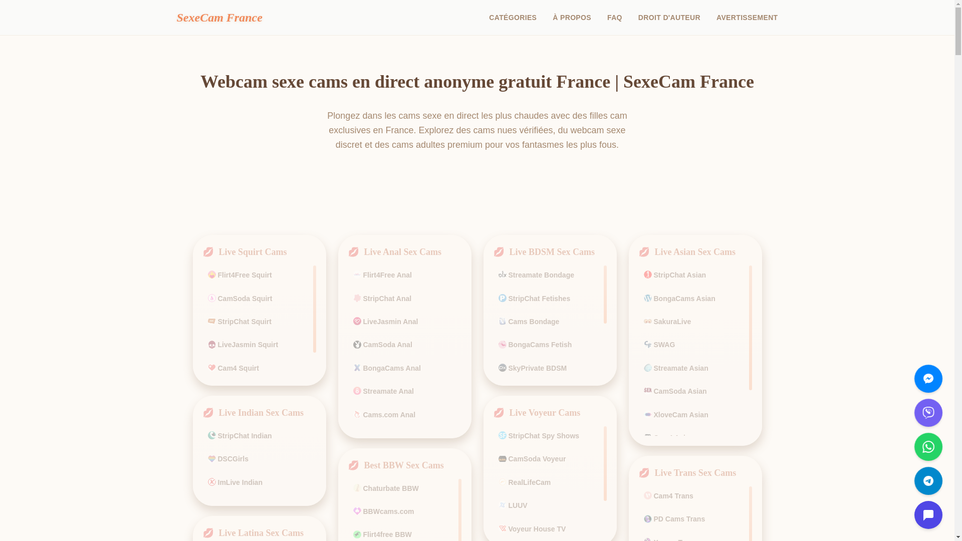 website screenshot of https://webcamsexehotcams.com/