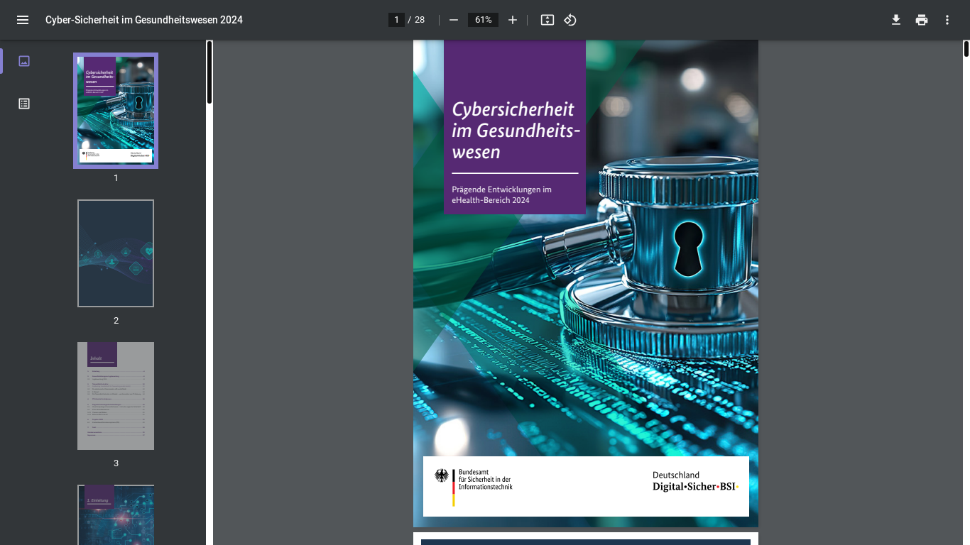 website screenshot of https://www.bsi.bund.de/SharedDocs/Downloads/DE/BSI/Publikationen/Broschueren/Gesundheitswesen_2024.pdf?__blob=publicationFile&v=3