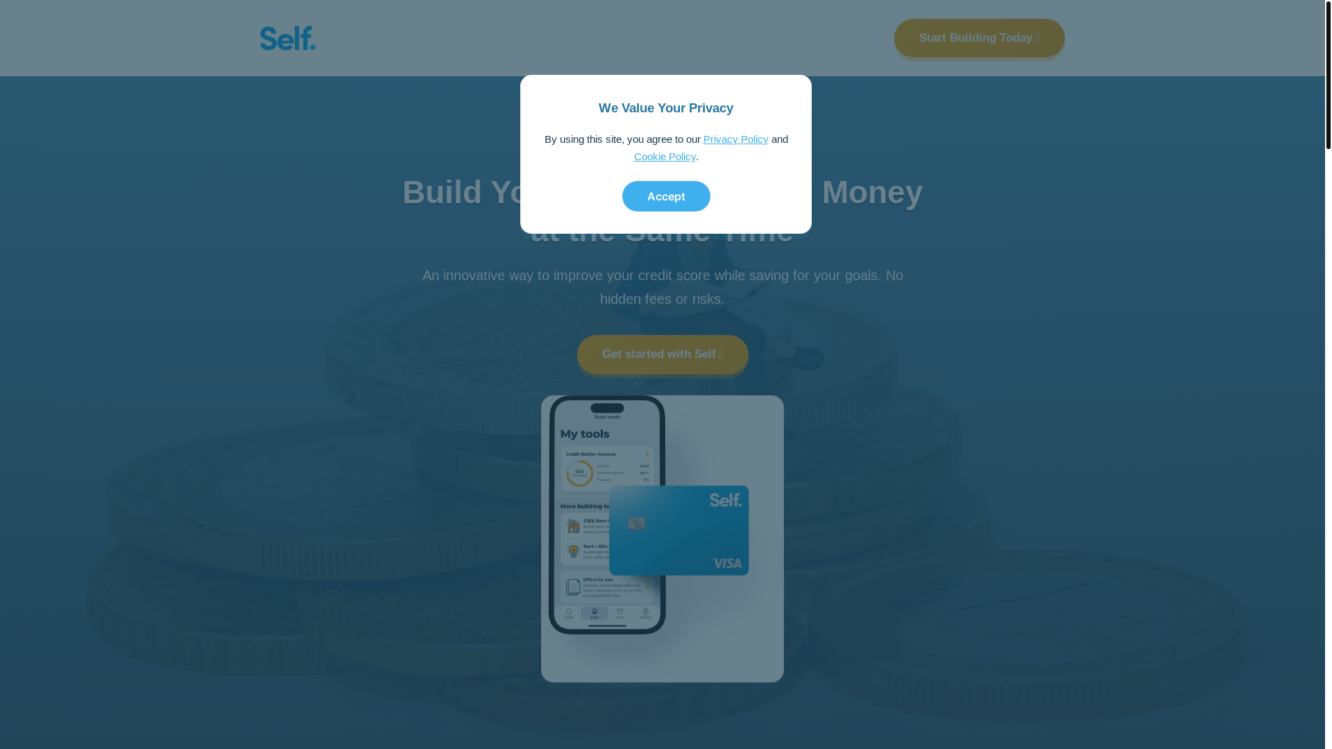website screenshot of https://selfcredit.website/