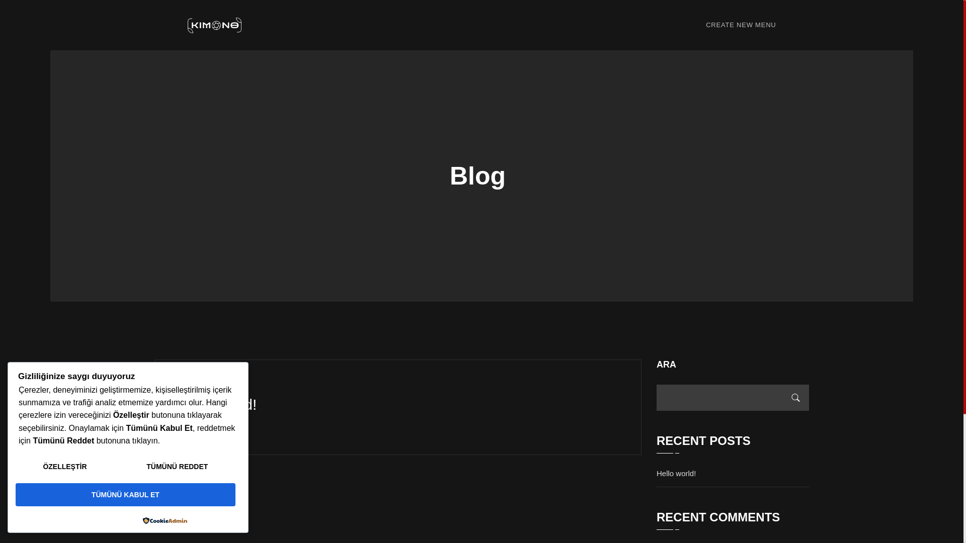website screenshot of https://cicolazer.com.tr/
