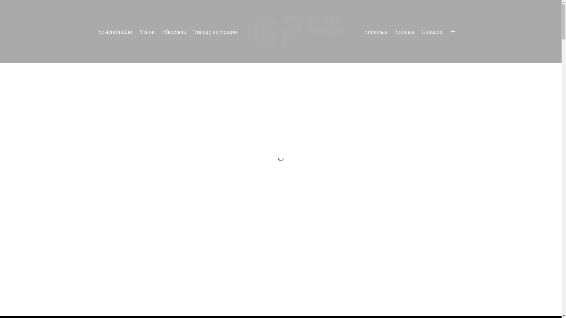 website screenshot of https://grupopaolini.com/