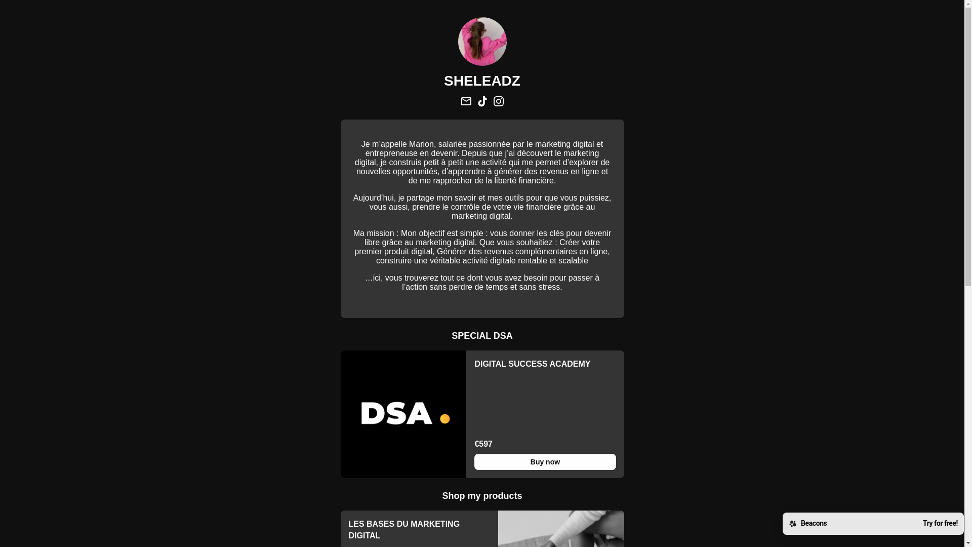 website screenshot of https://sheleadz.store/