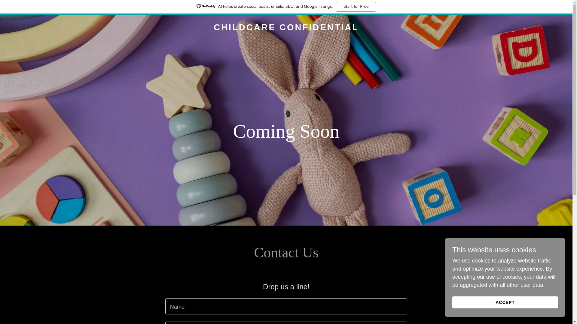 website screenshot of https://childcareconfidential.com/
