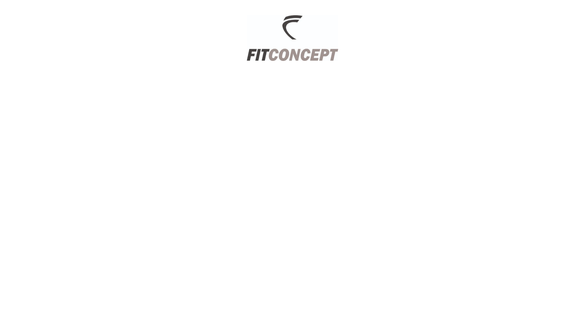 website screenshot of https://fitconcept.com.ar/
