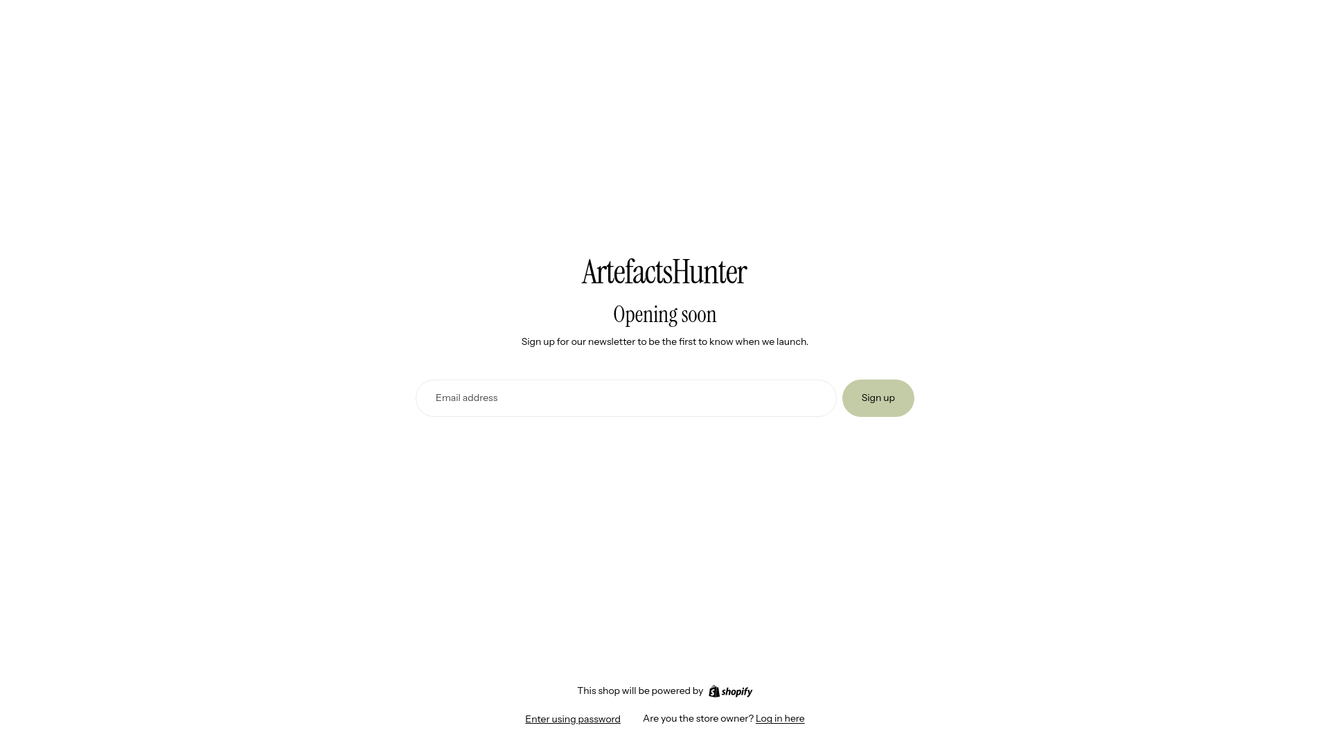 website screenshot of https://artefactshunter.com/