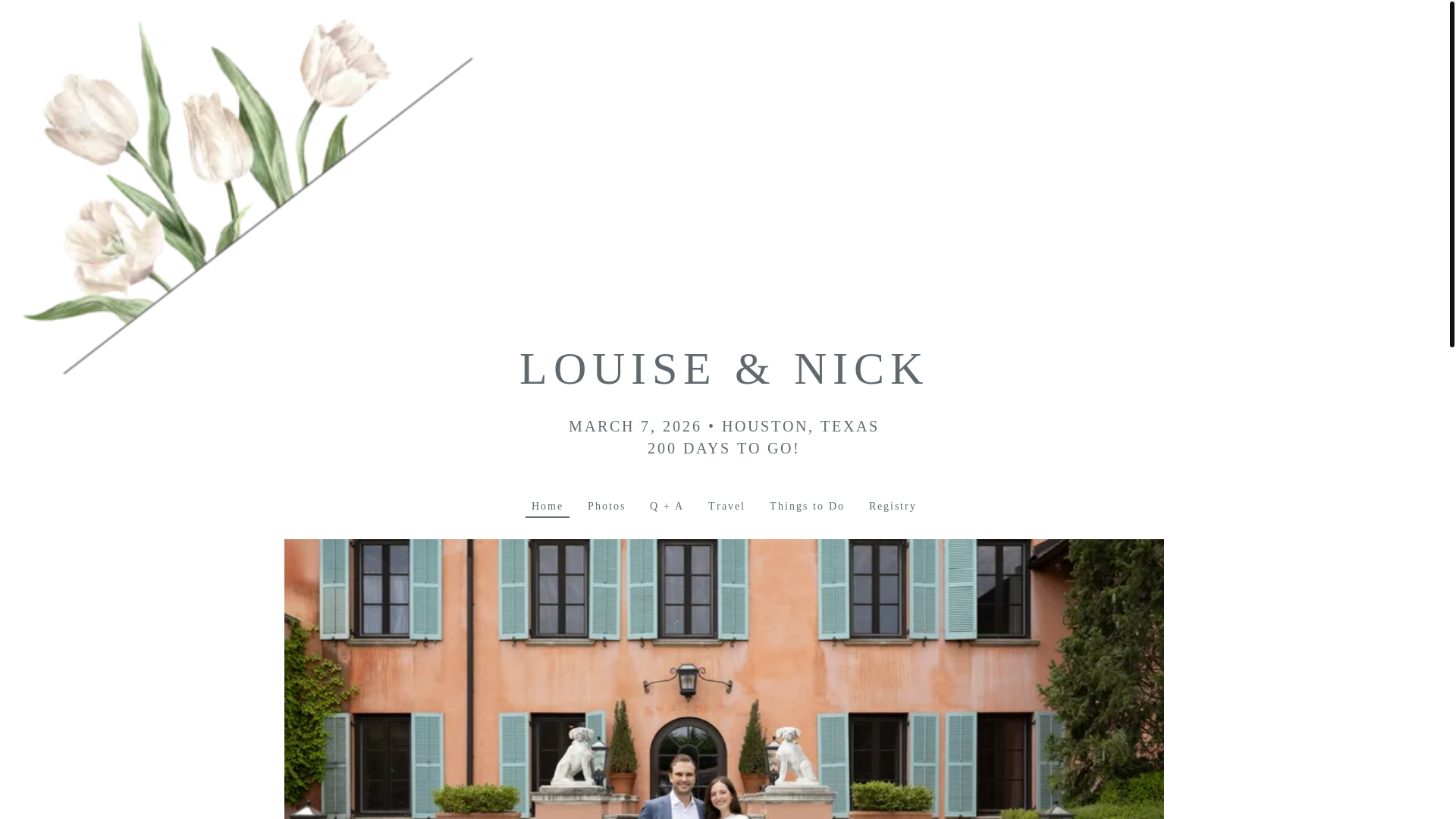 website screenshot of https://louiseandnick.com/
