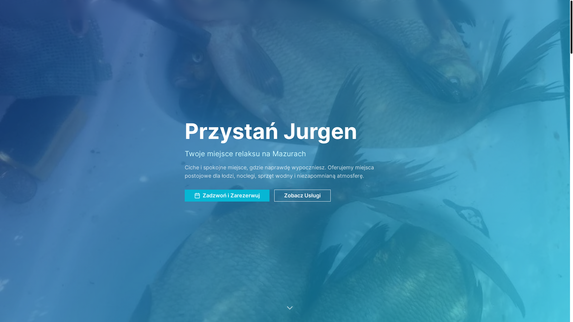 website screenshot of https://przystan-jurgen.pl/