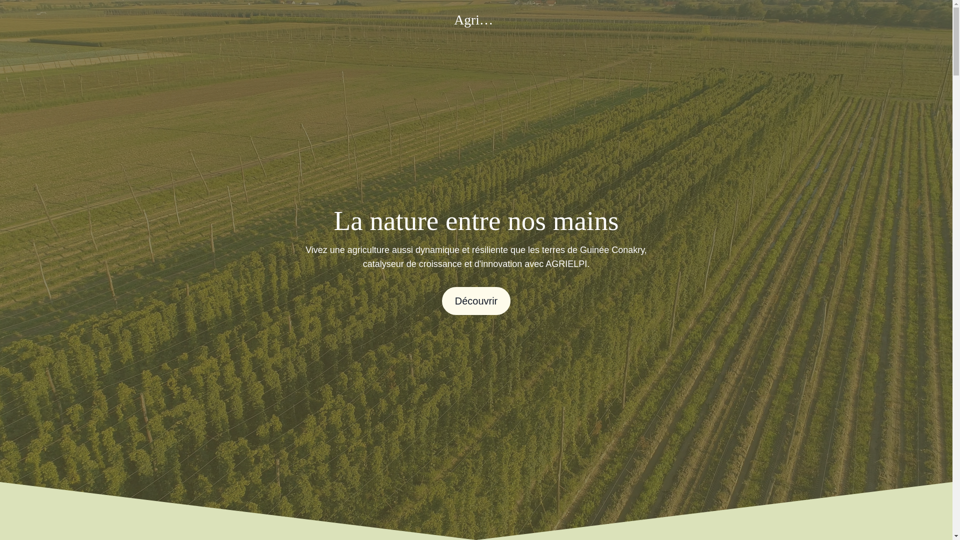 website screenshot of https://globalagrielpi.com/