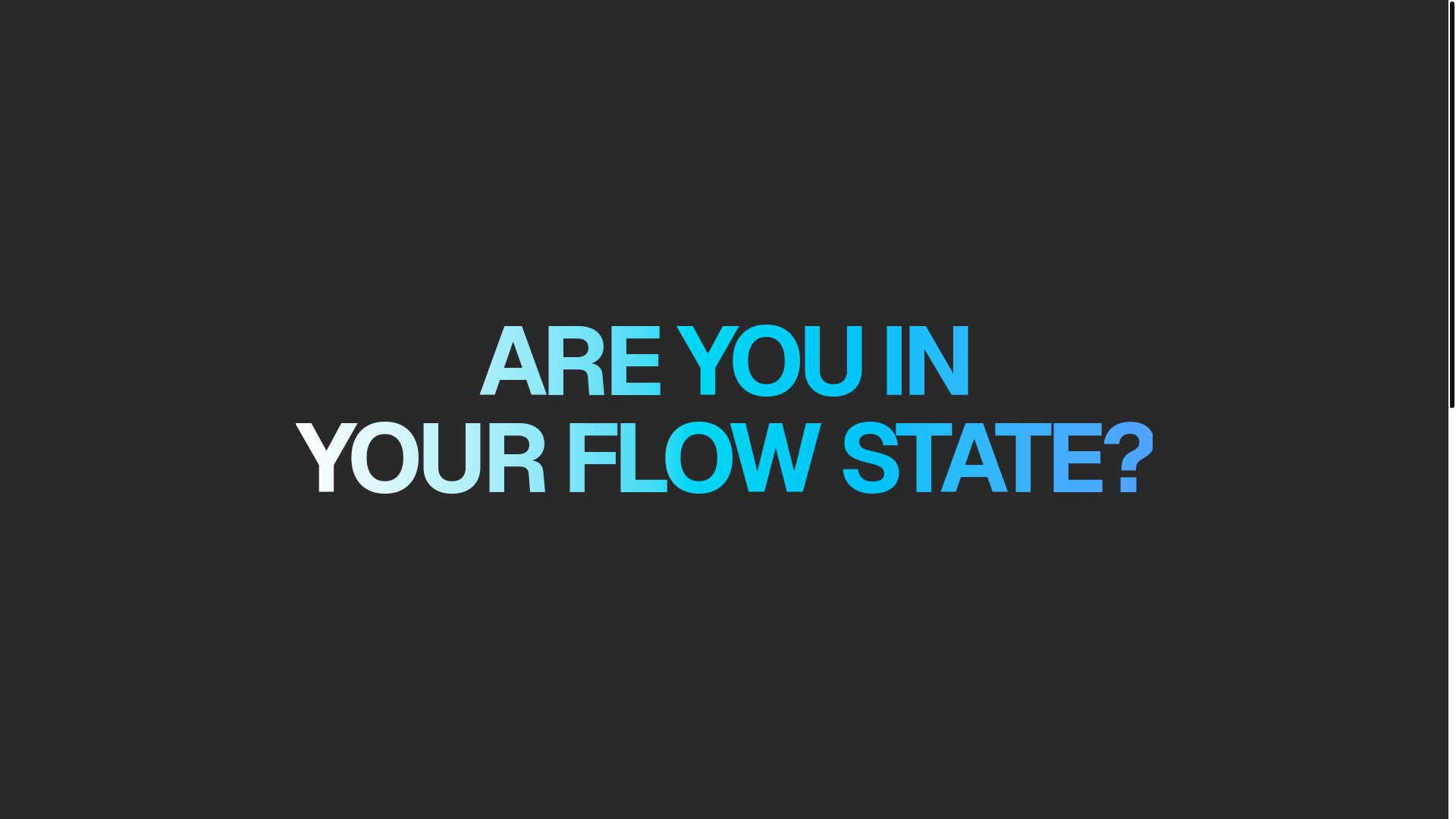website screenshot of https://theflowstate.fun/