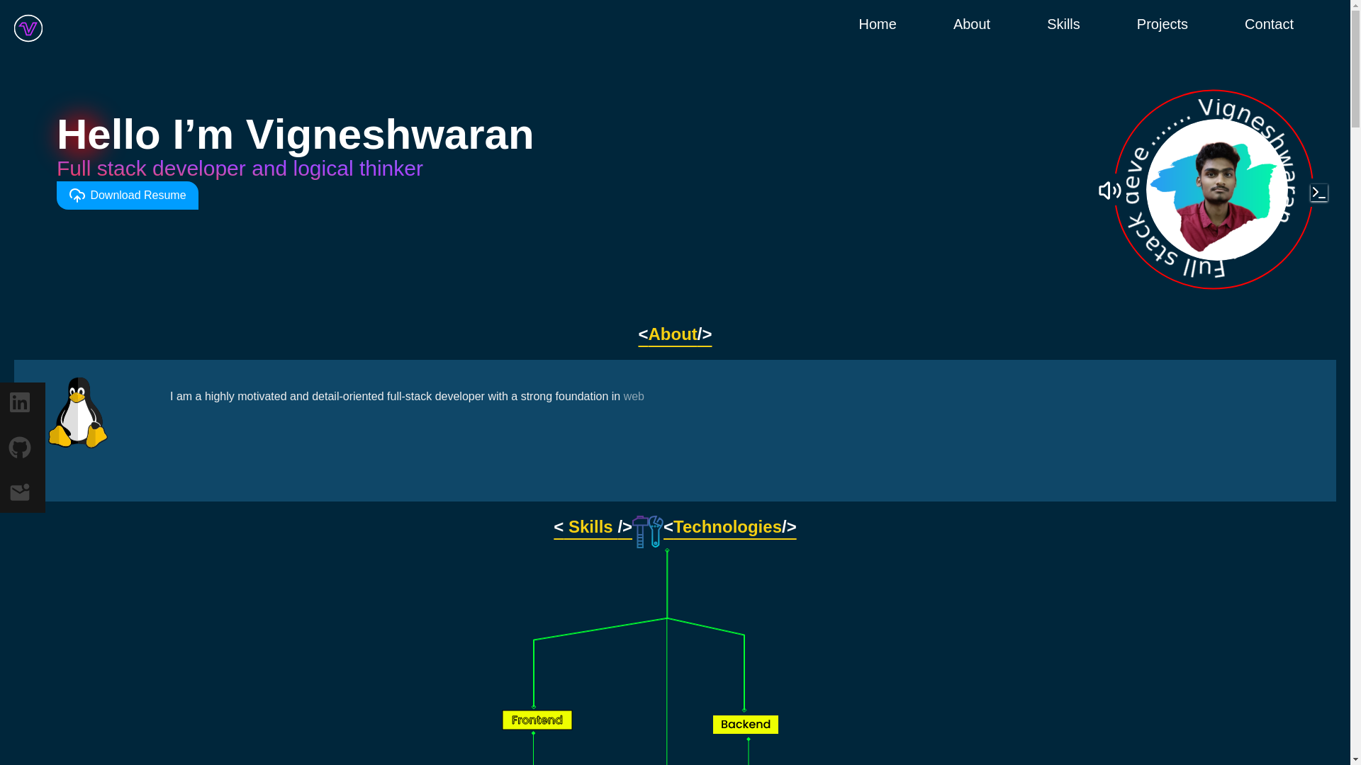 website screenshot of https://vigneshwaranp.pages.dev/