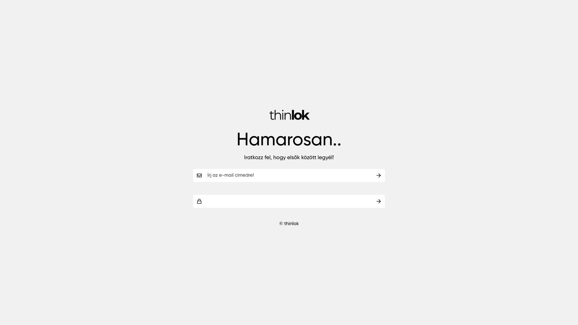 website screenshot of https://thinlok.hu/