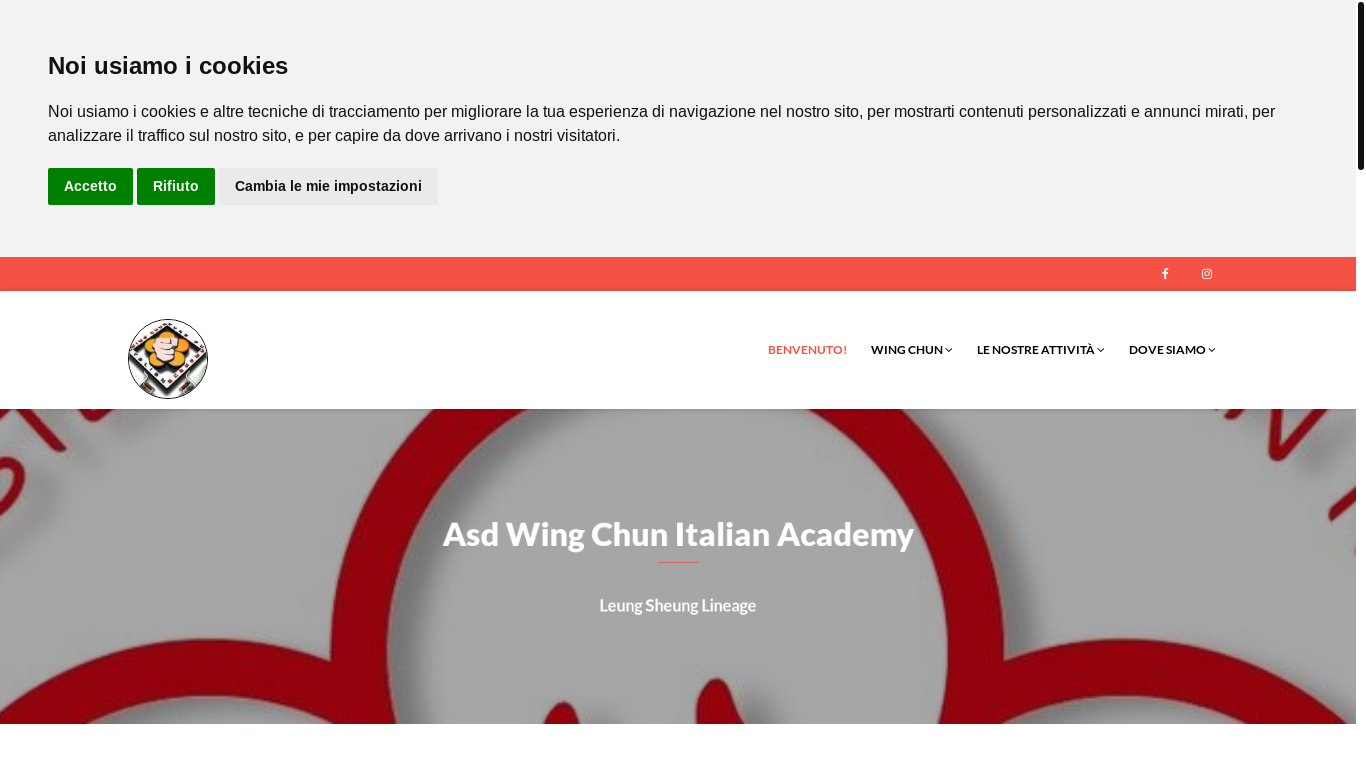 website screenshot of https://wingchunitalia.com/