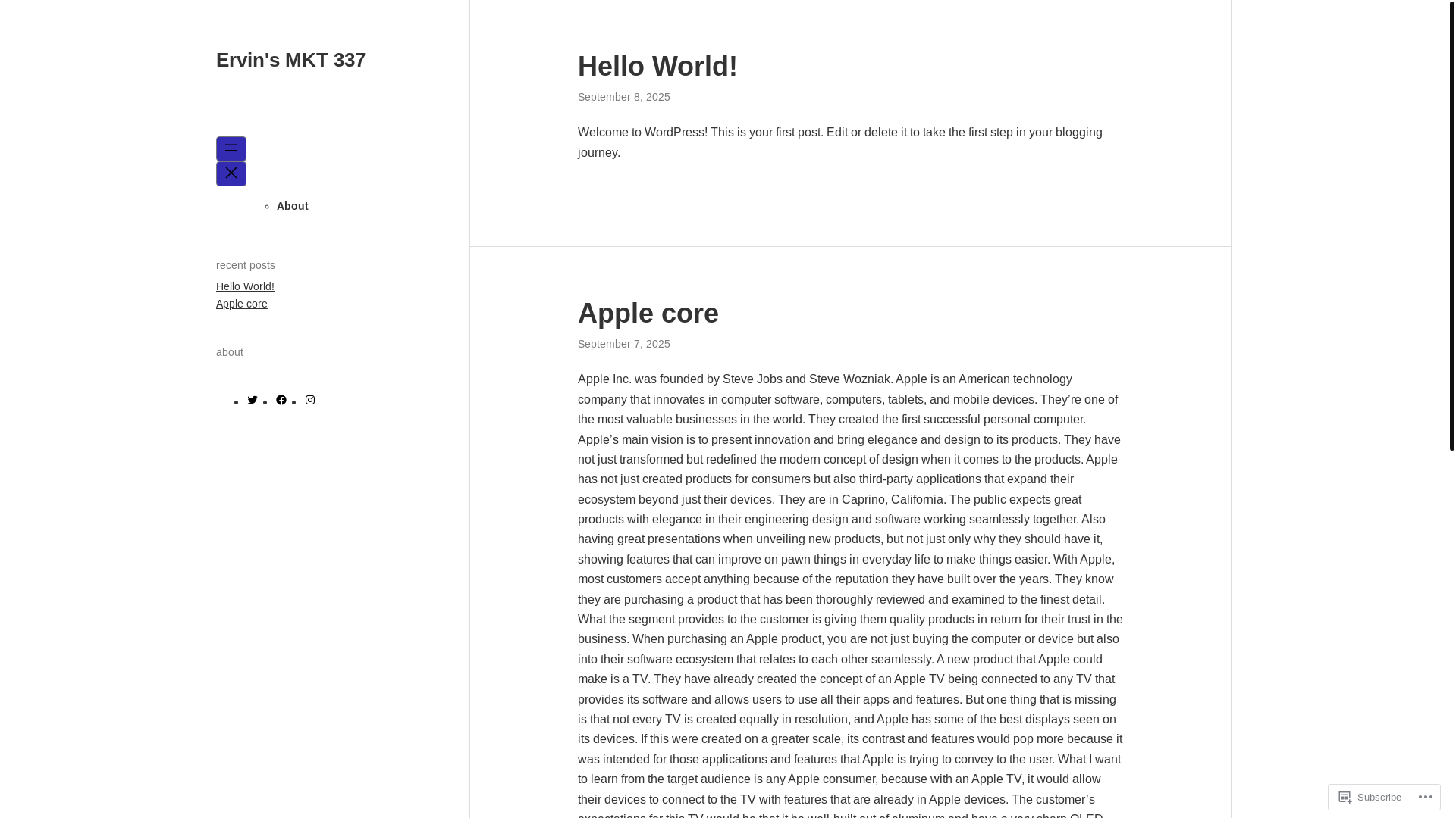 website screenshot of https://ervinmkt.com/