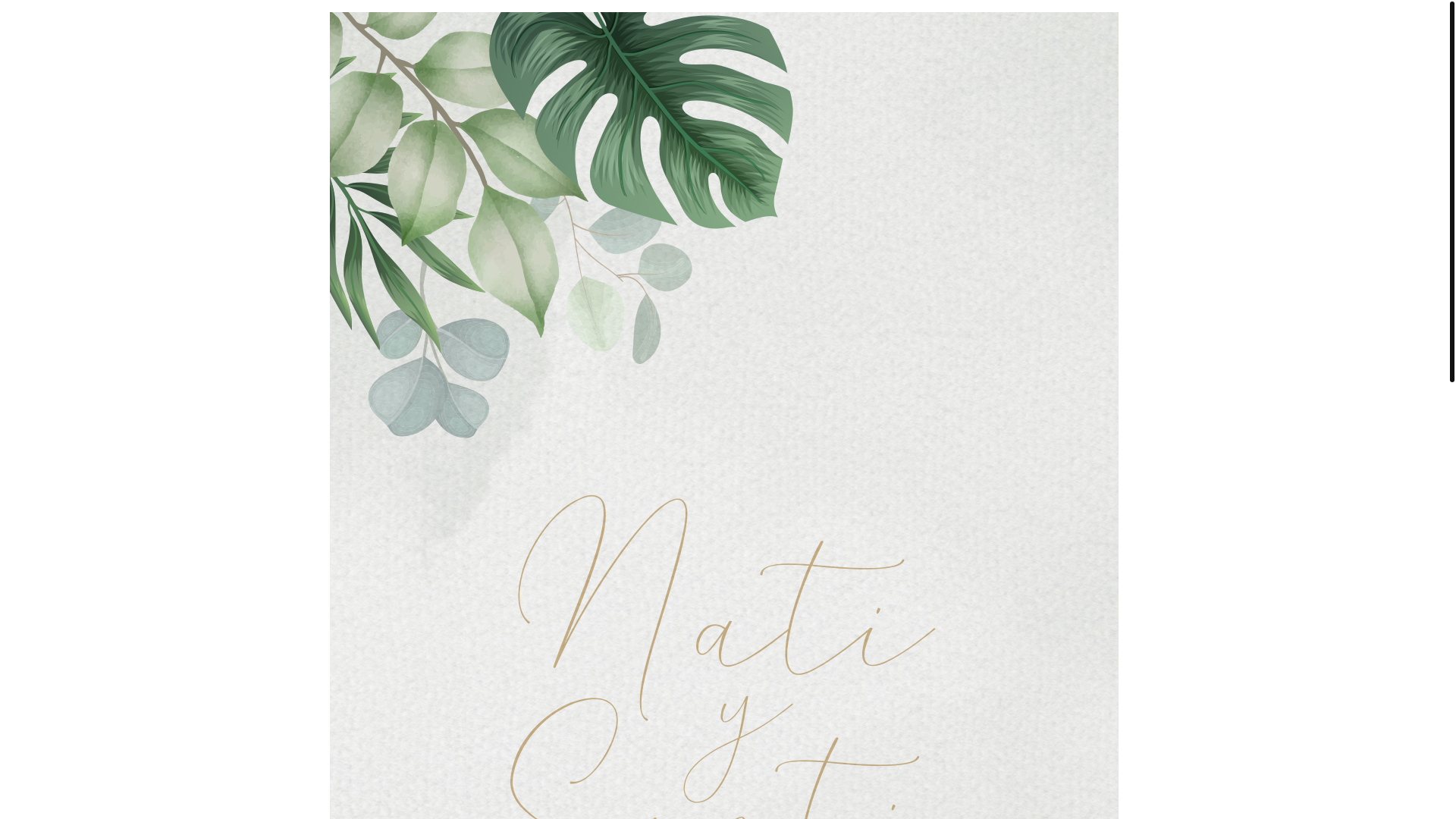 website screenshot of https://natiysanti.com/