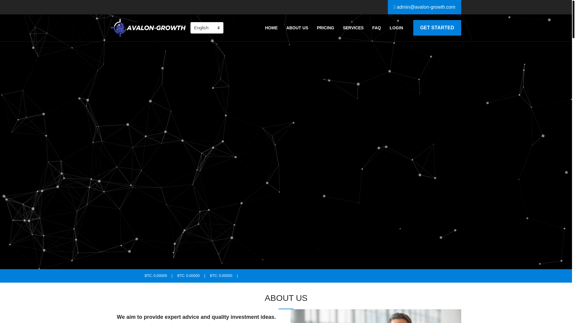 website screenshot of https://avalon-growth.com/
