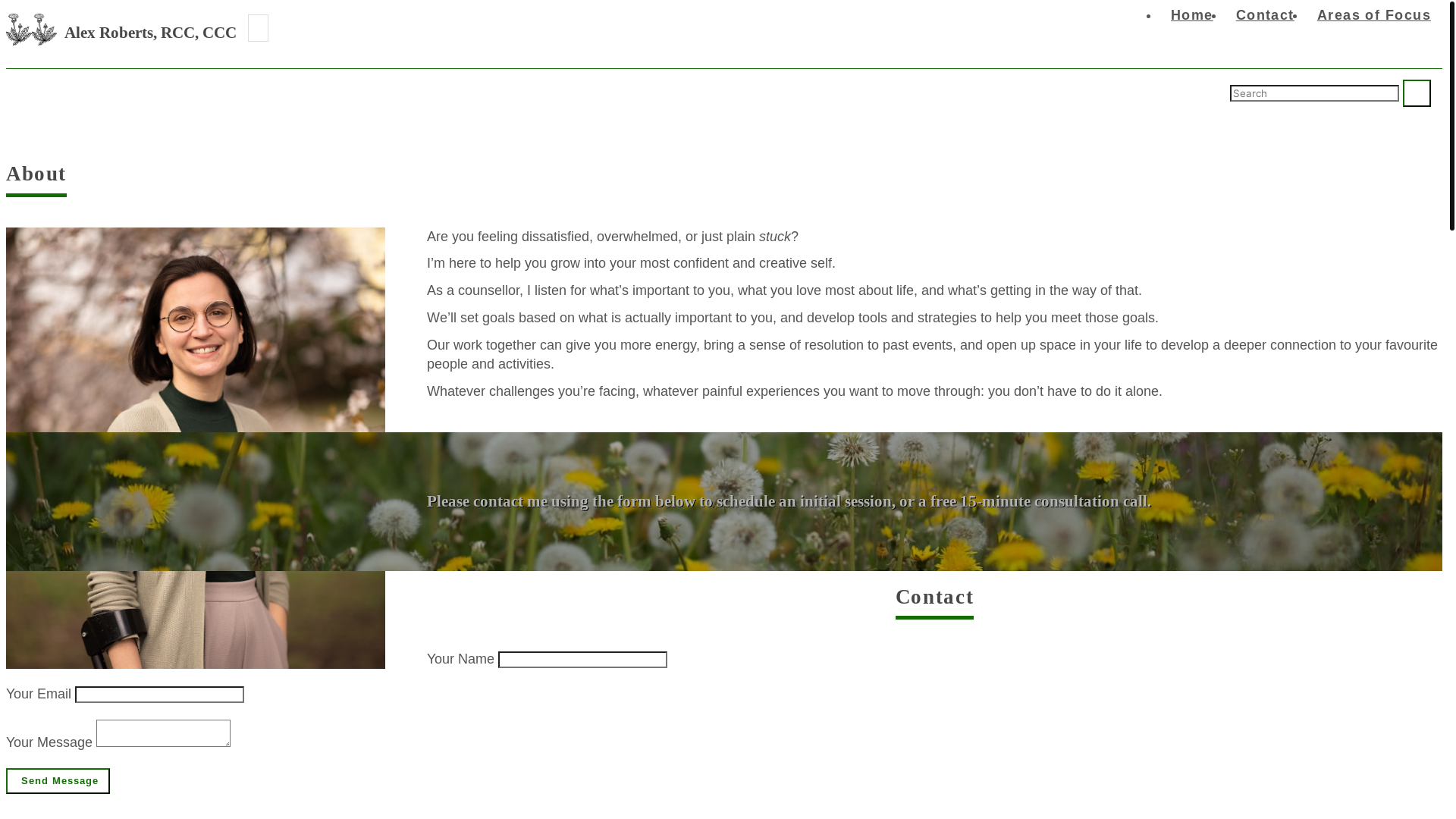website screenshot of https://mainwebsite-7z1.pages.dev/