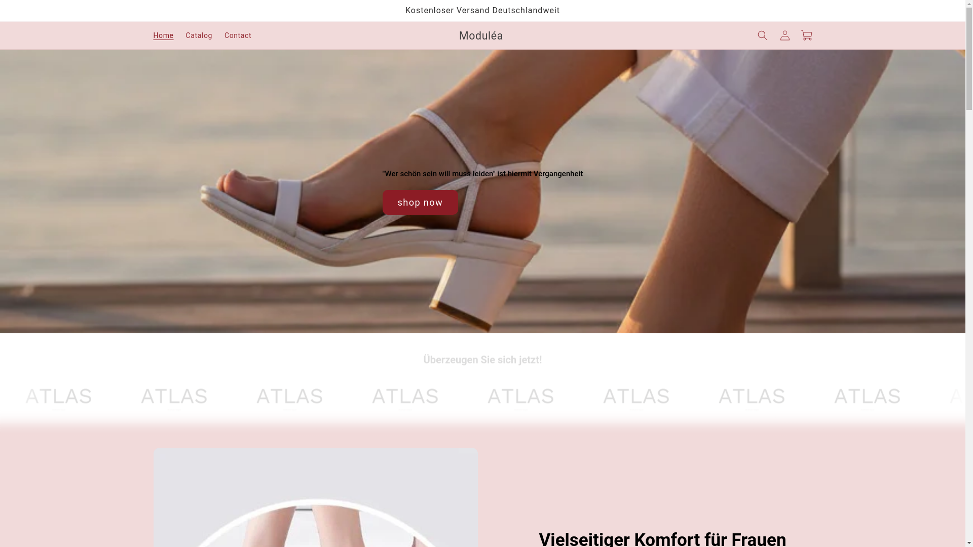 website screenshot of https://xn--modula-fva.de/