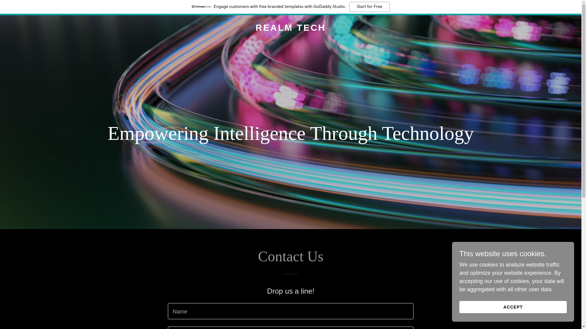 website screenshot of https://realmtech.solutions/