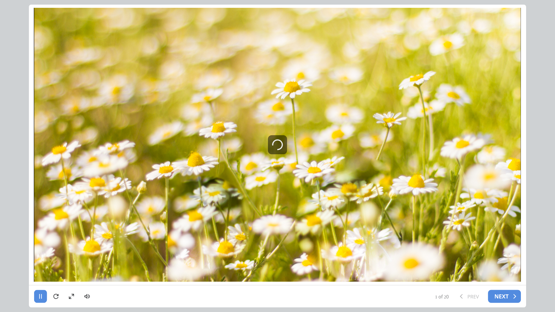 website screenshot of https://3a8b1d2b-7c74-1c01-a4a0-9c930d166bf5-qa.pages.dev/