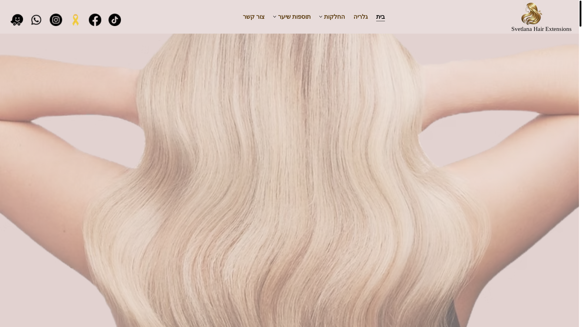 website screenshot of https://svetlanahair.com/