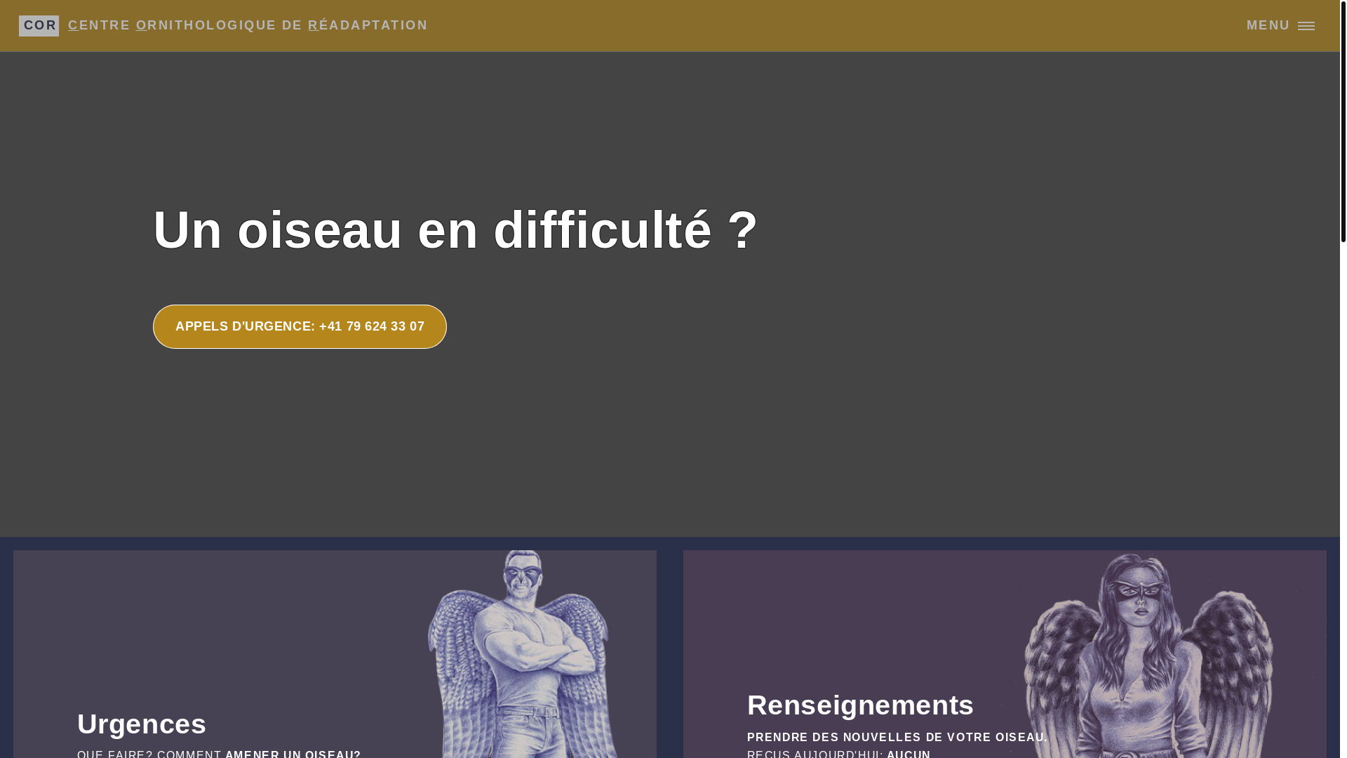 website screenshot of https://cor-geneve.ch/
