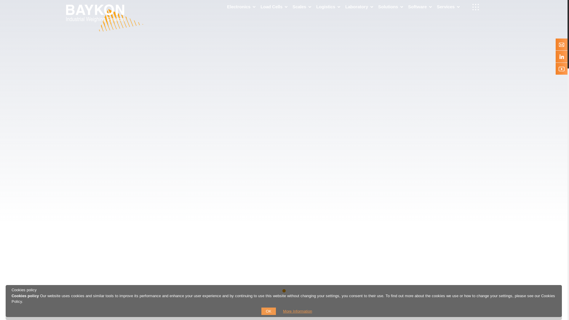 website screenshot of https://baykon.com