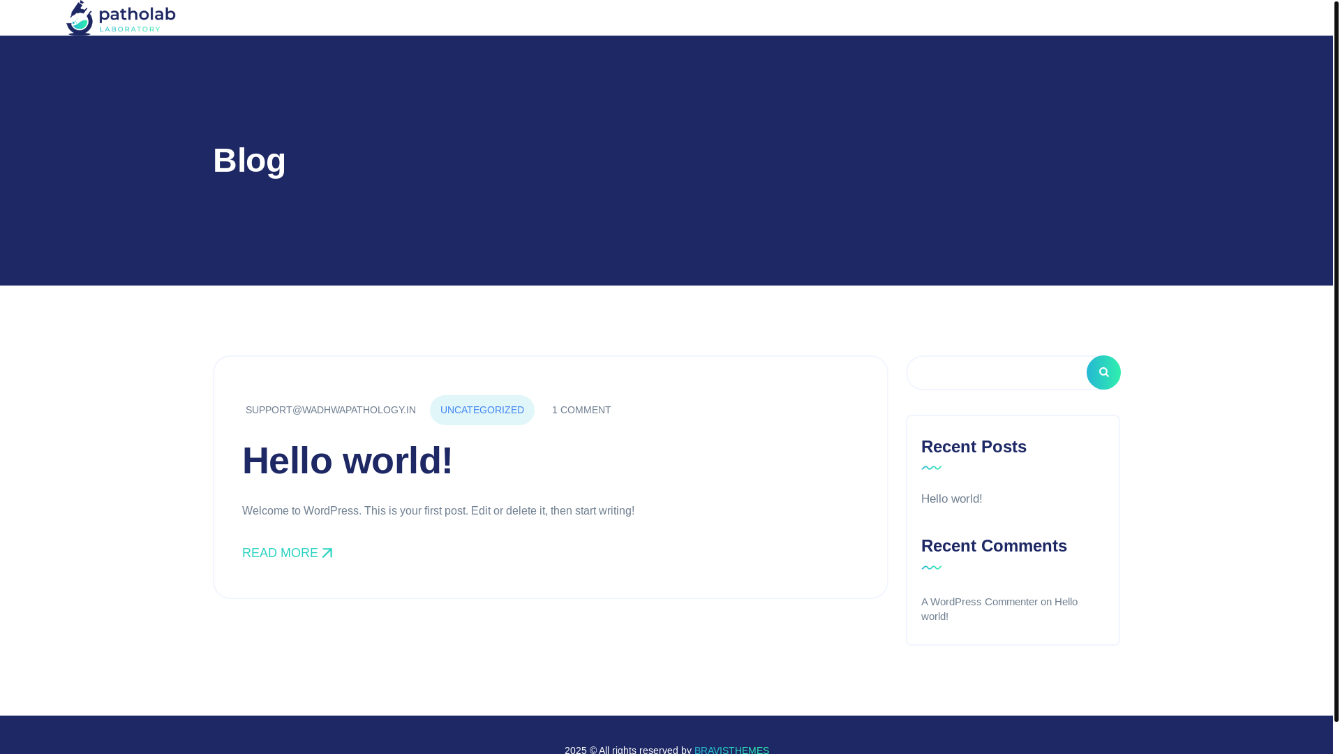 website screenshot of https://wadhwapathology.in/