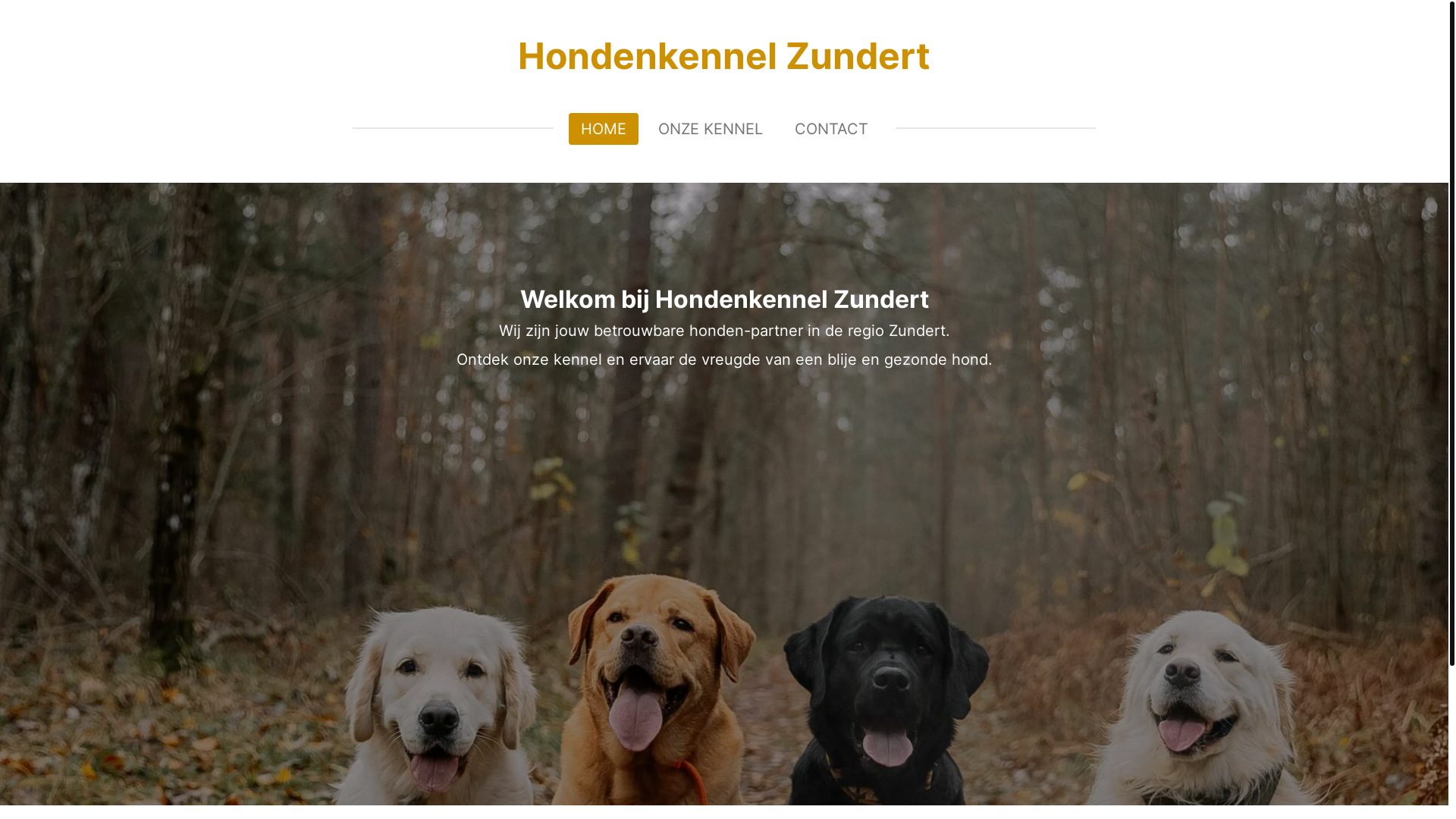 website screenshot of https://hondenkennelzundert.nl/