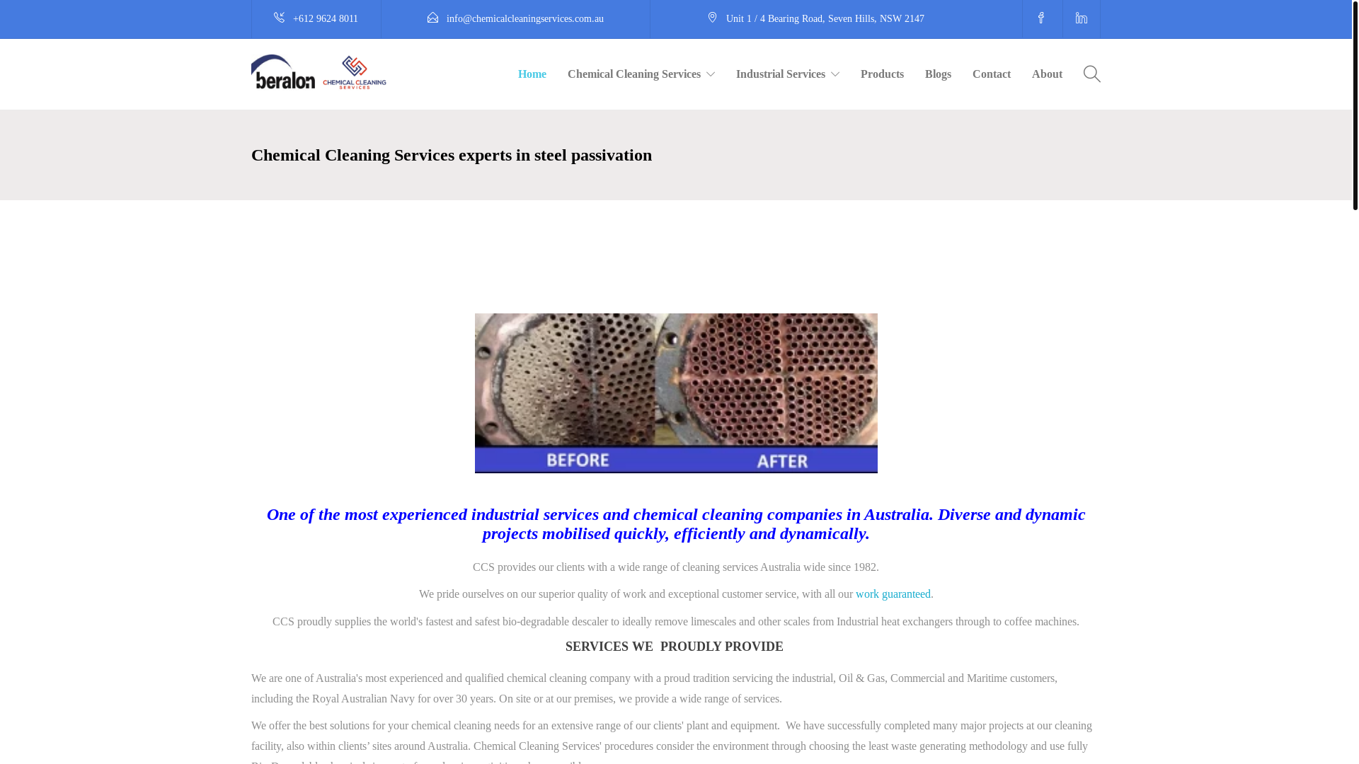 website screenshot of https://chemicalcleaningservices.online/
