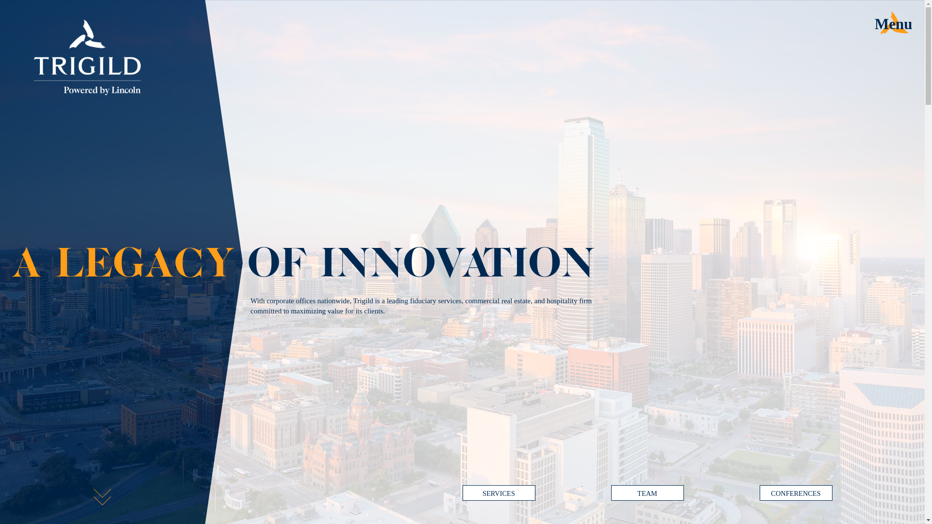 website screenshot of http://trigild.com/