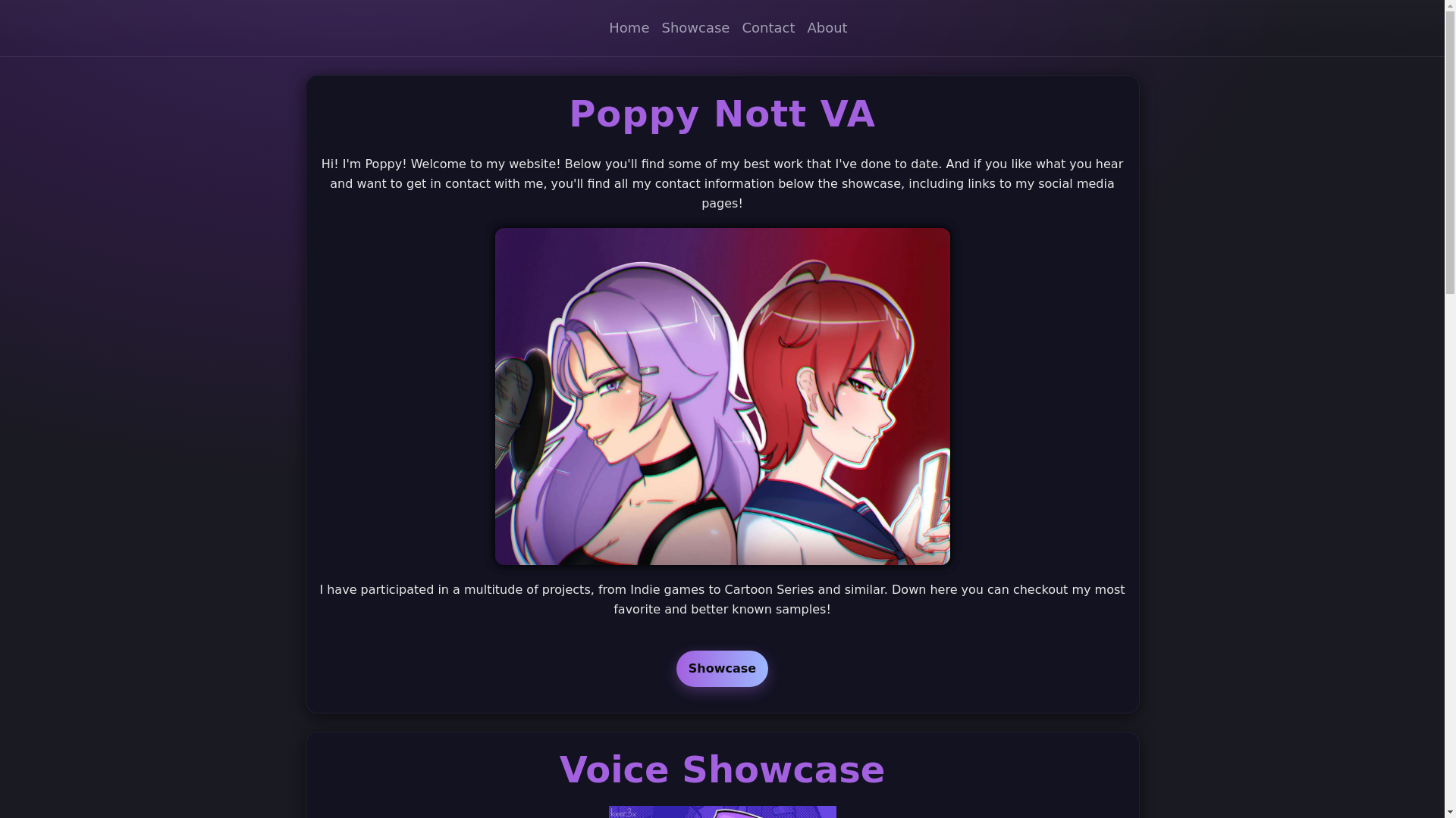 website screenshot of https://pnva.net/