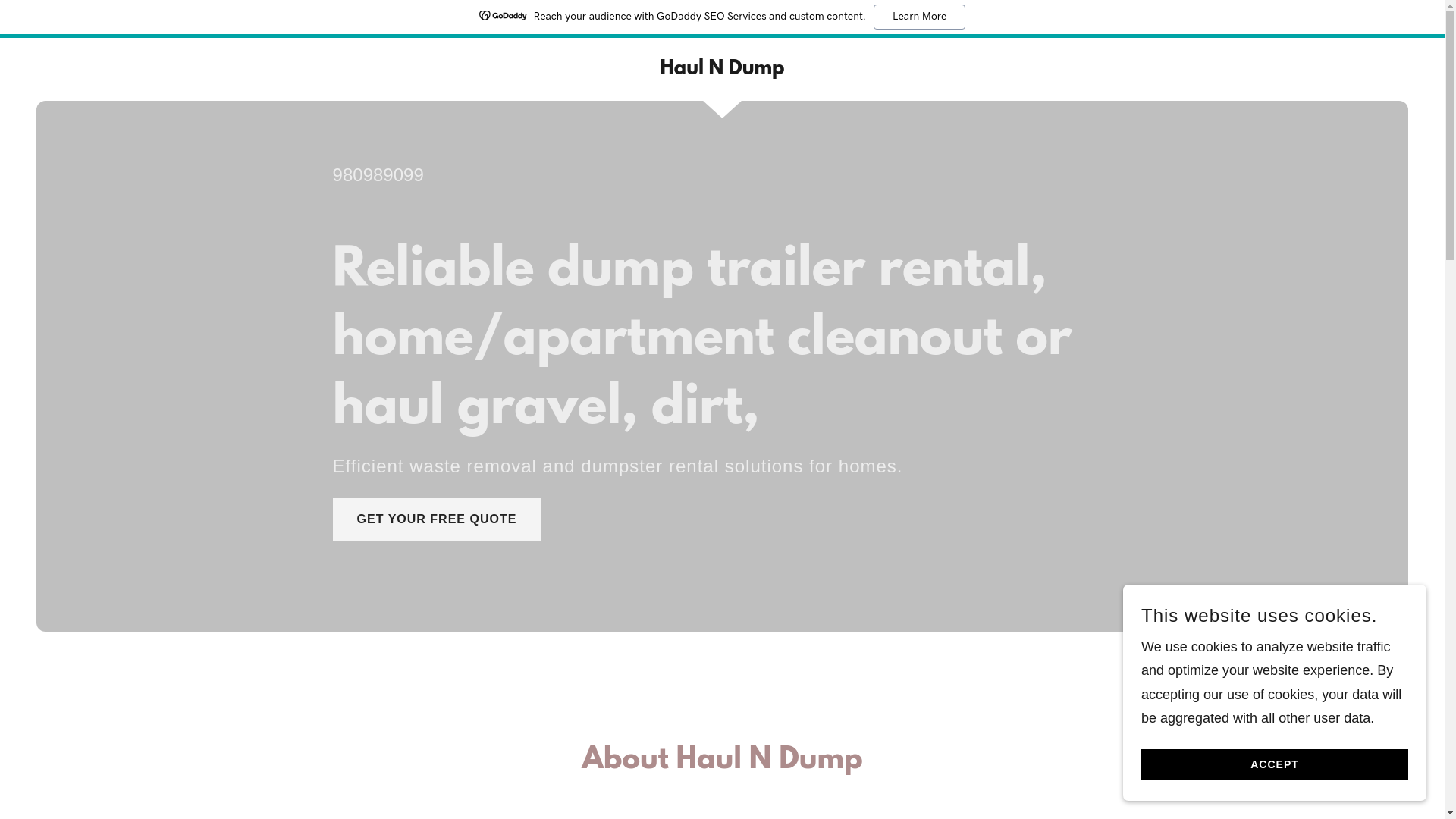 website screenshot of https://haulndumpllc.net/
