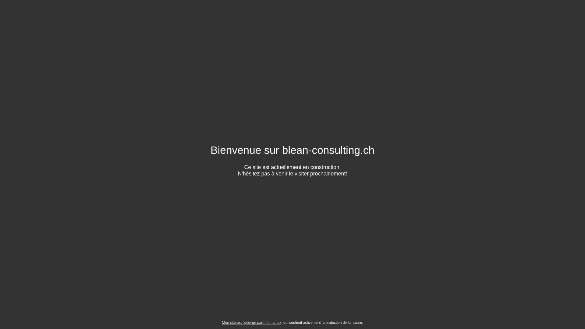website screenshot of https://blean-consulting.ch/