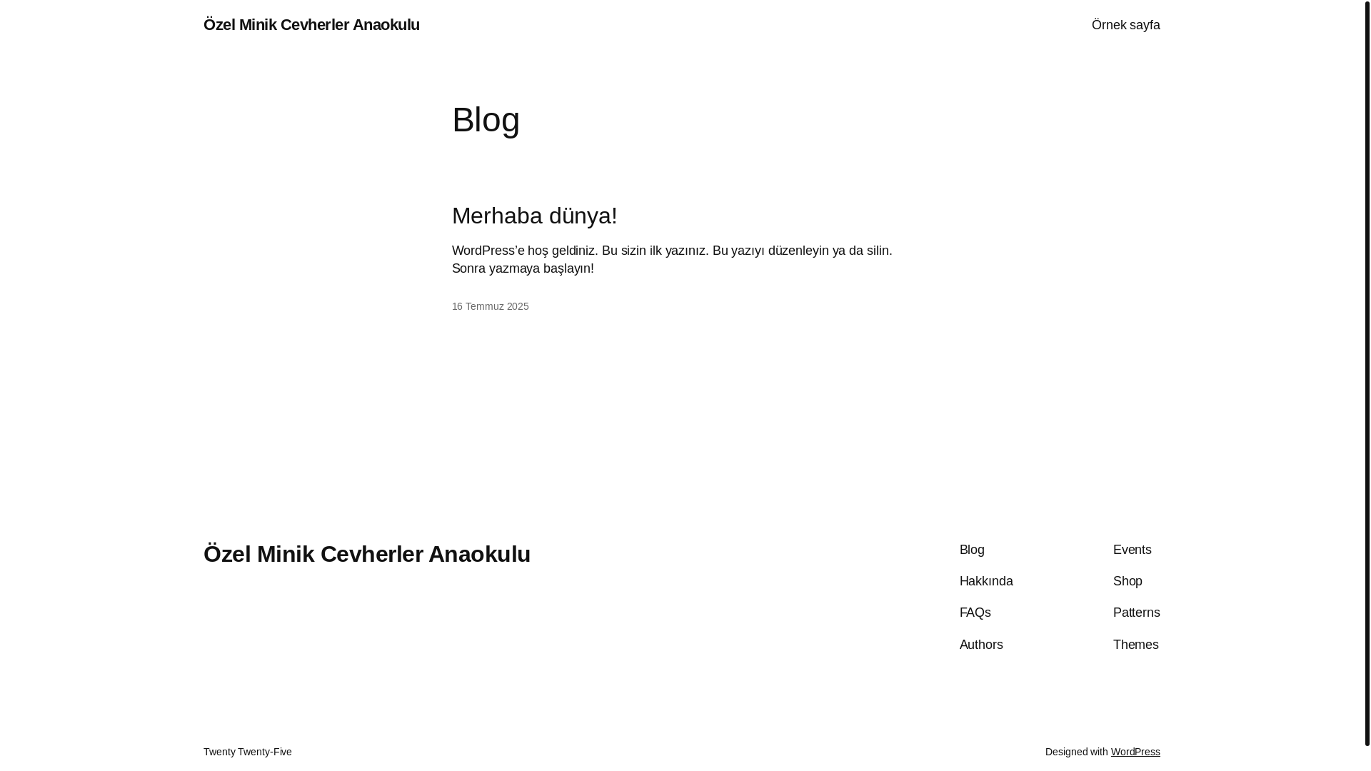 website screenshot of https://ozelminikcevherleranaokulu.com.tr/