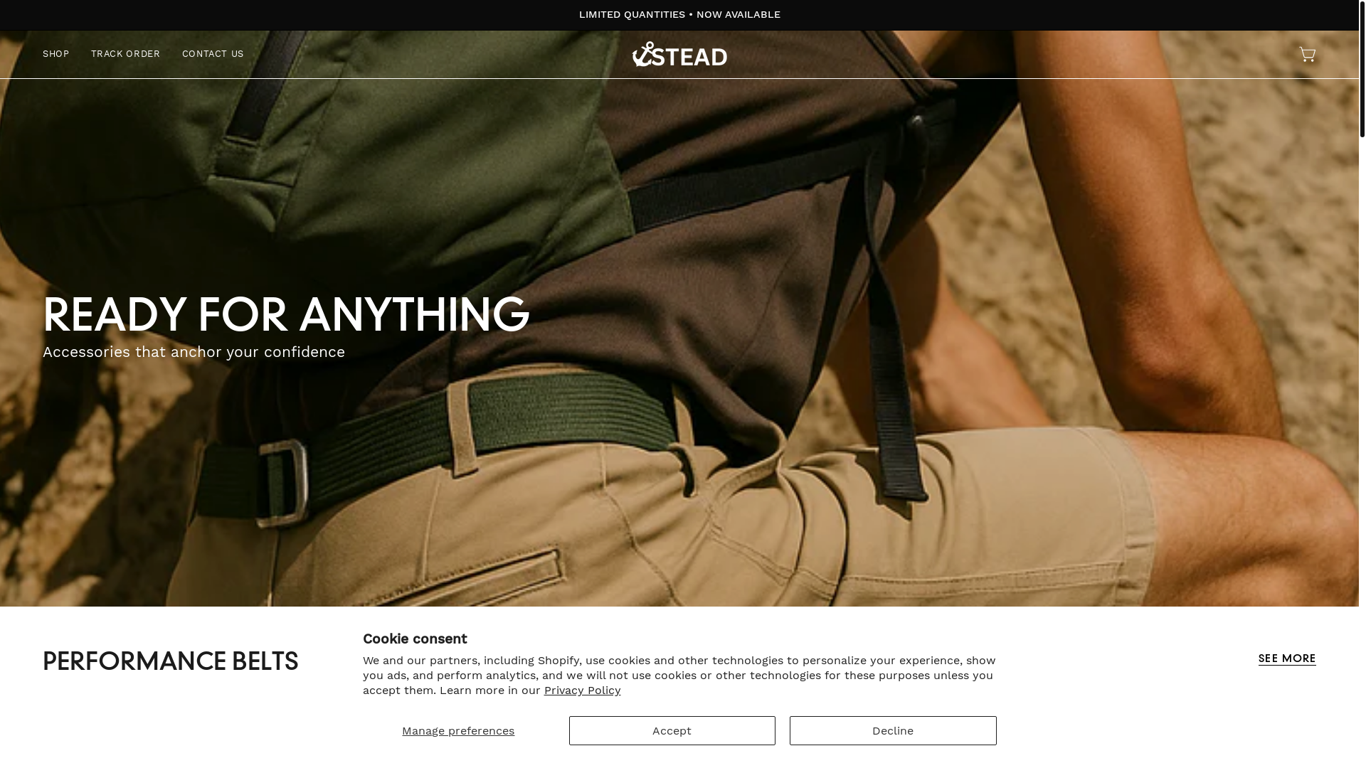 website screenshot of https://wearstead.com/
