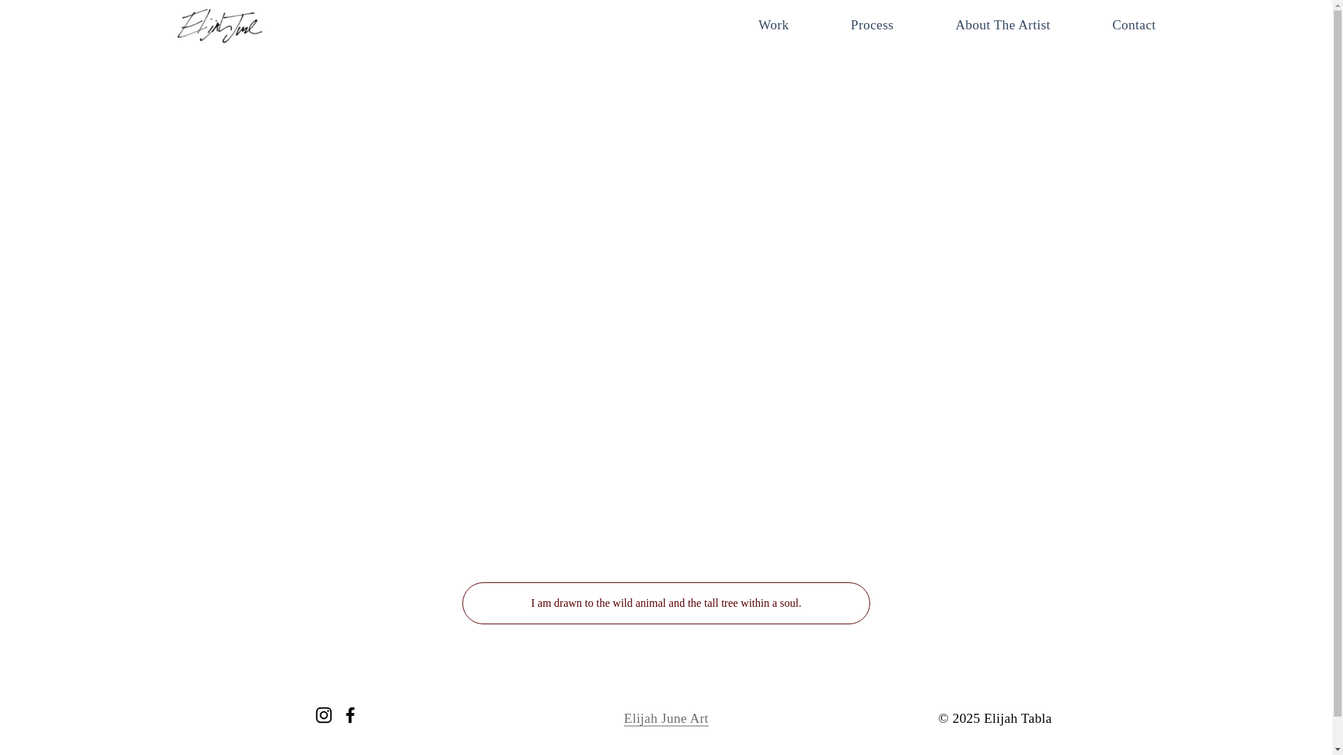 website screenshot of https://elijahjune.com/
