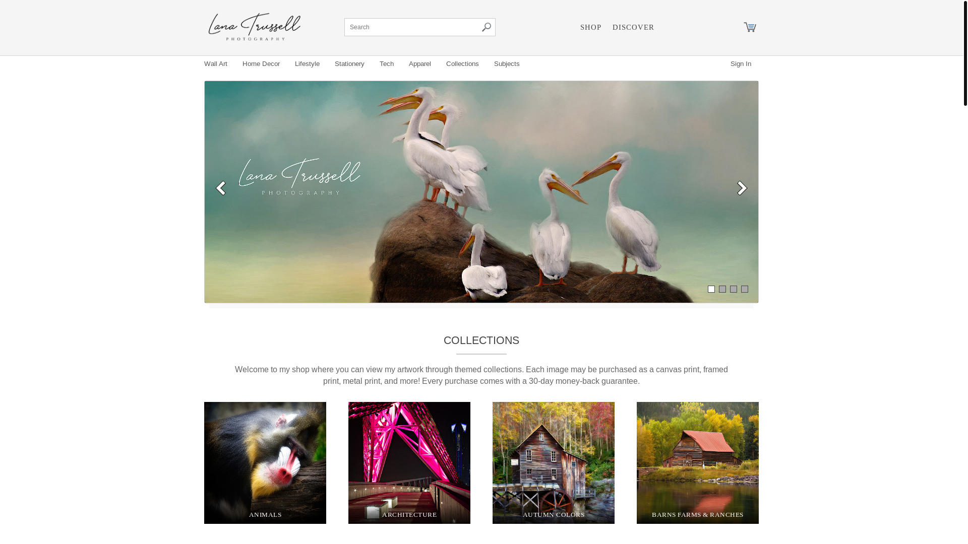 website screenshot of https://lanatrussellprints.com/