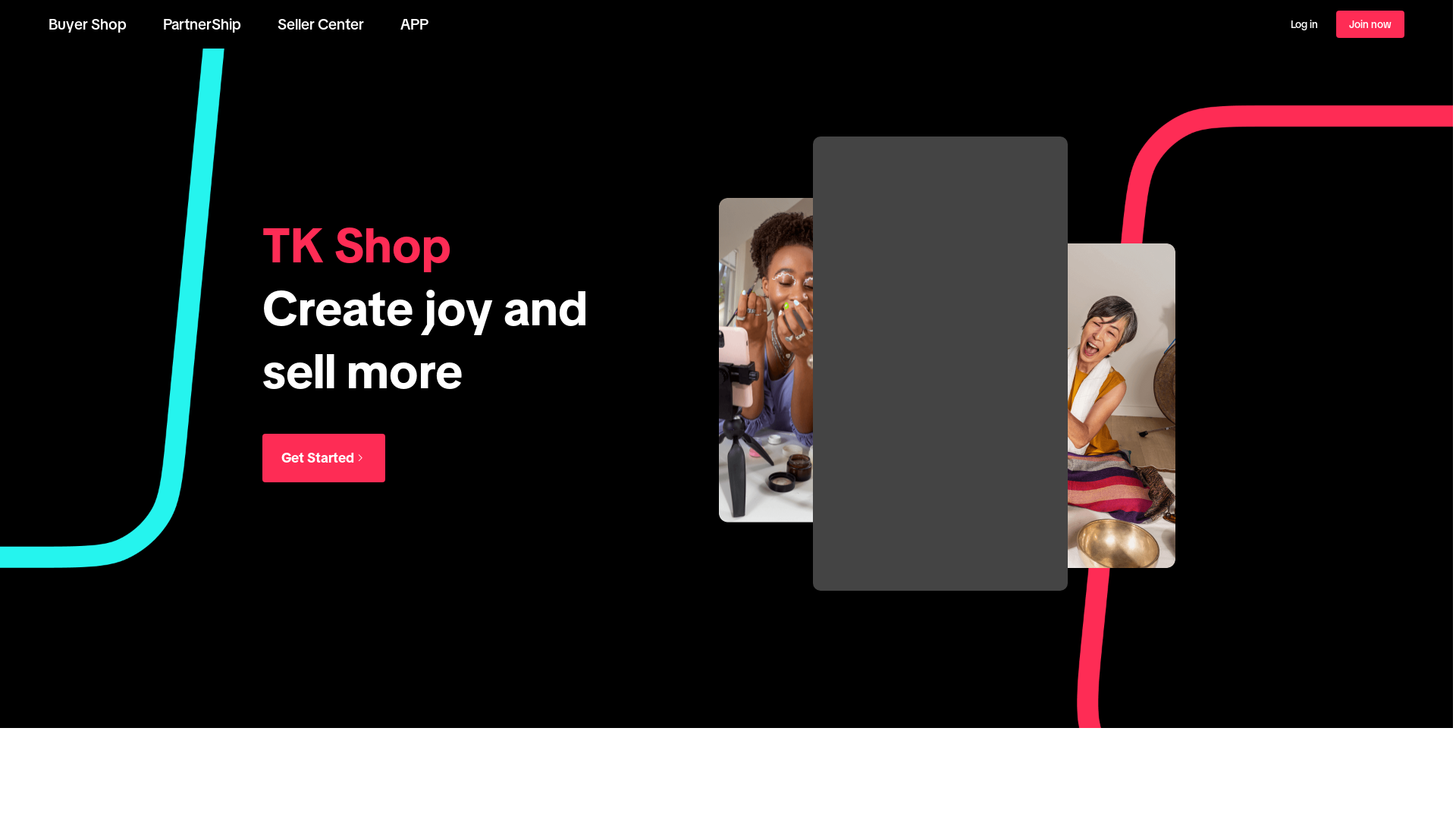 website screenshot of https://vntktok.store/