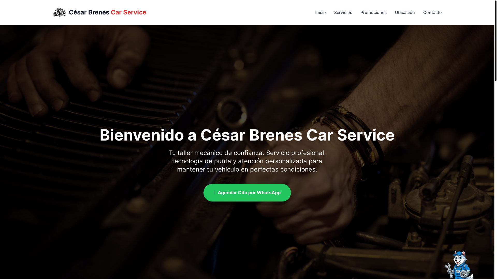 website screenshot of https://cesarbrenescarservice.com/