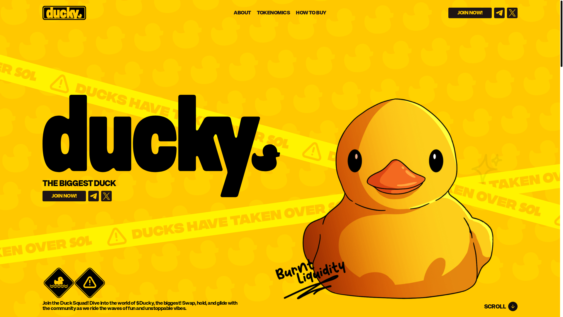 website screenshot of https://ducky.rest/