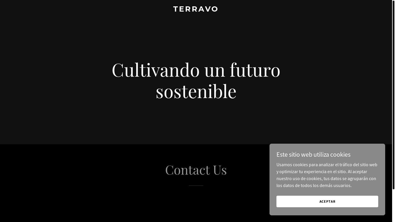 website screenshot of https://terravo.mx/