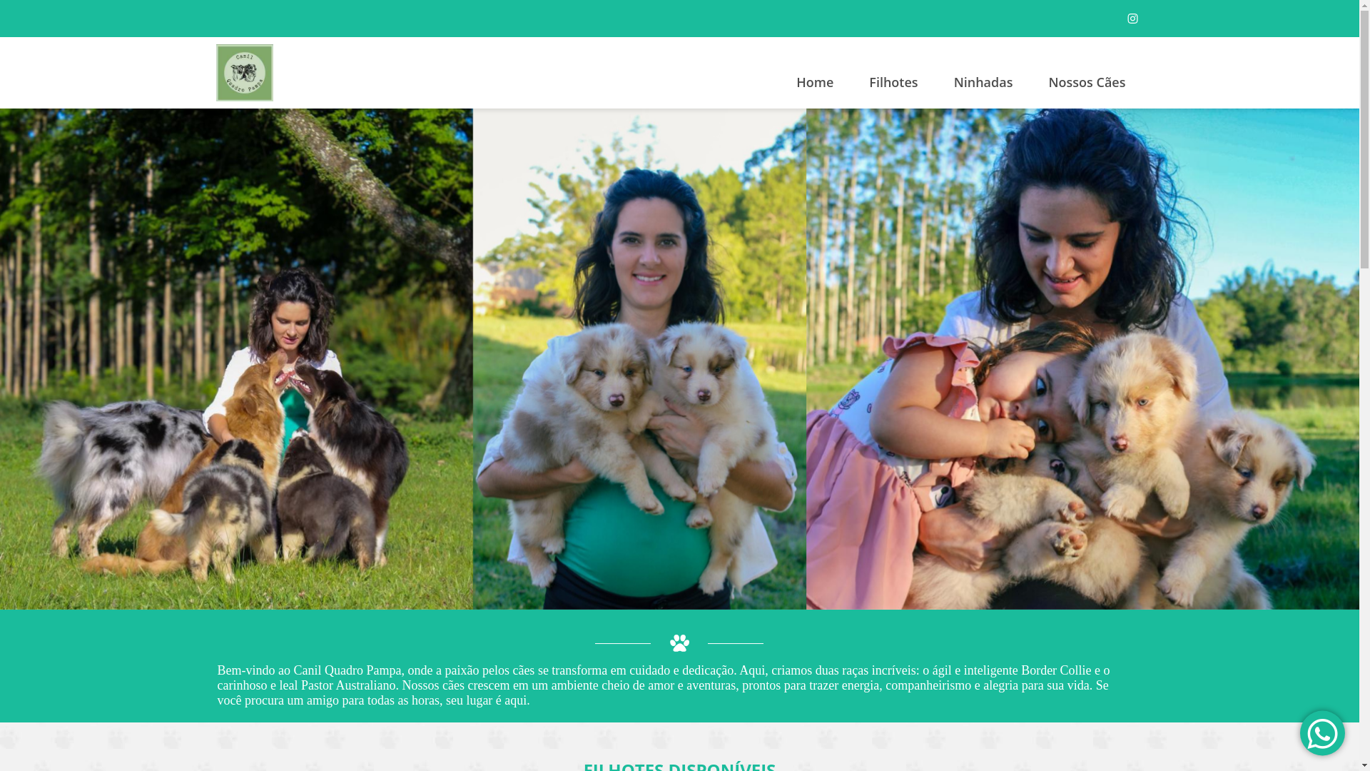 website screenshot of https://canilquadropampa.com.br/
