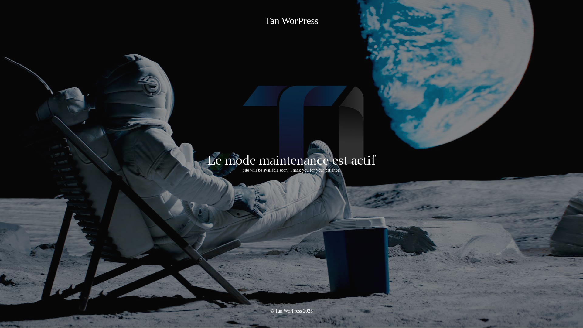 website screenshot of https://tan-dev.net/