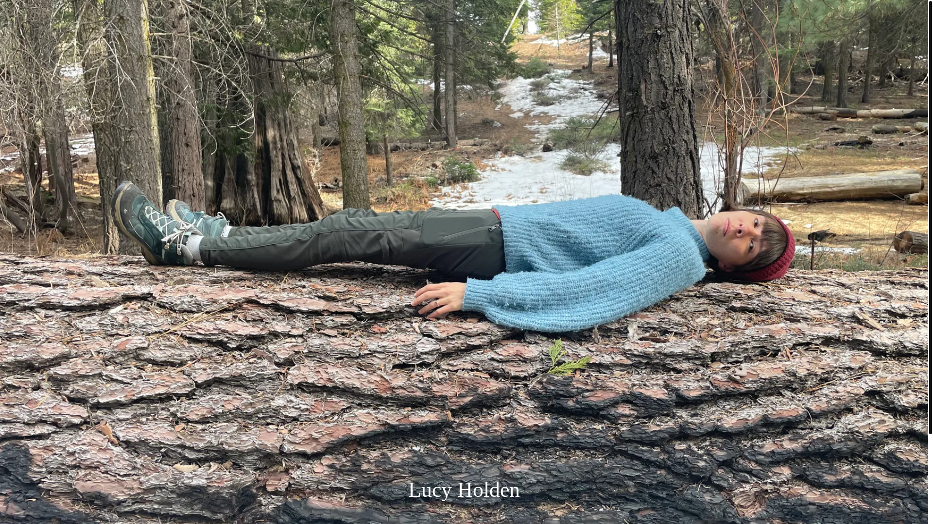 website screenshot of https://lucyholdenmusic.com/