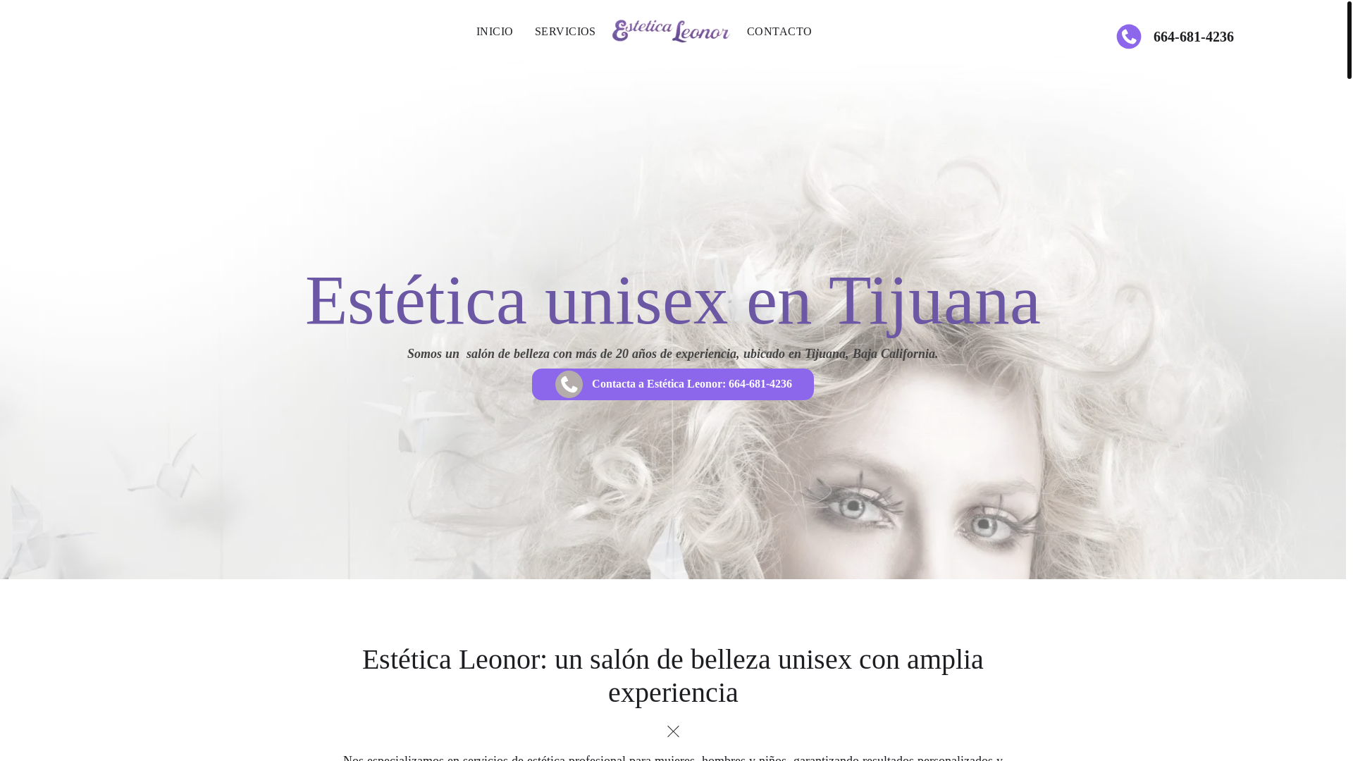 website screenshot of https://esteticaleonor.com.mx/