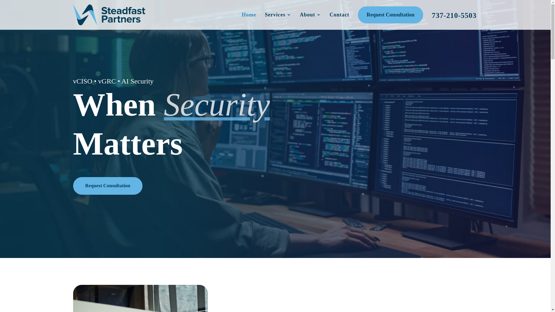 website screenshot of https://steadfastpartners.net/