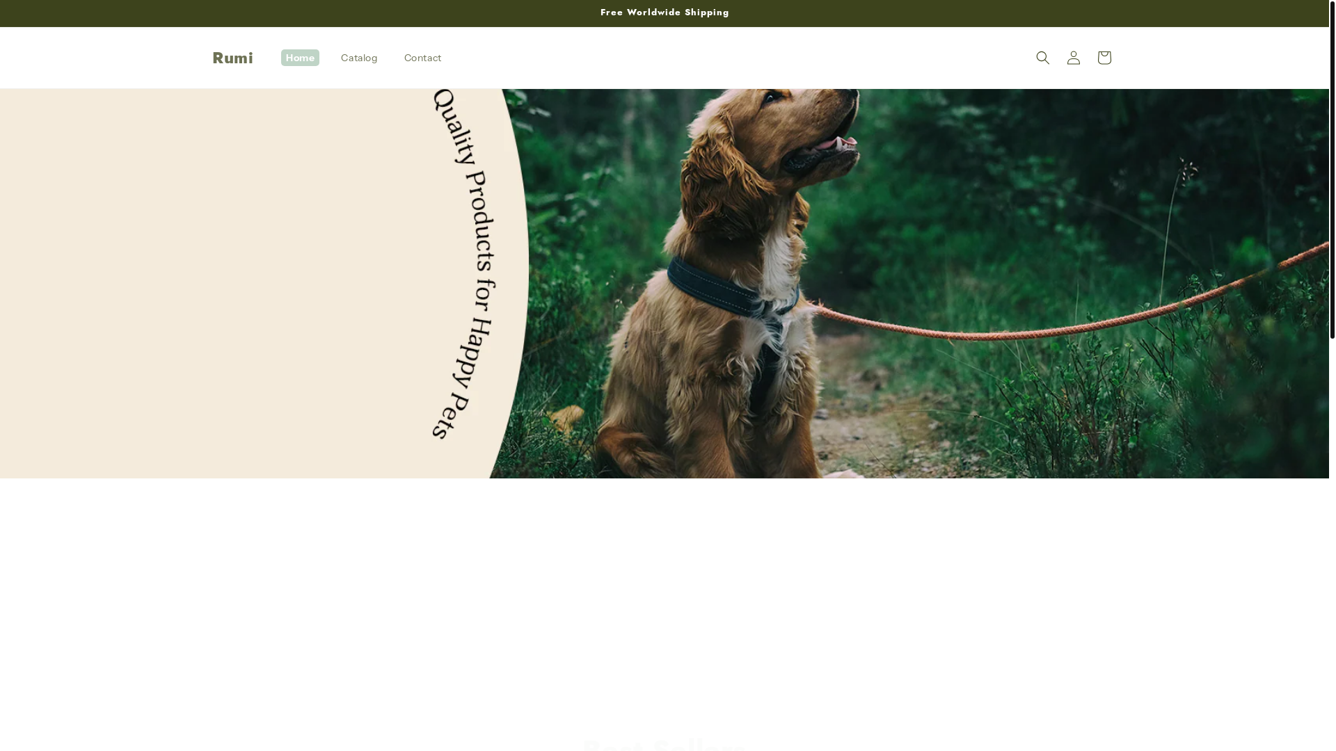 website screenshot of https://shoprumi.us/