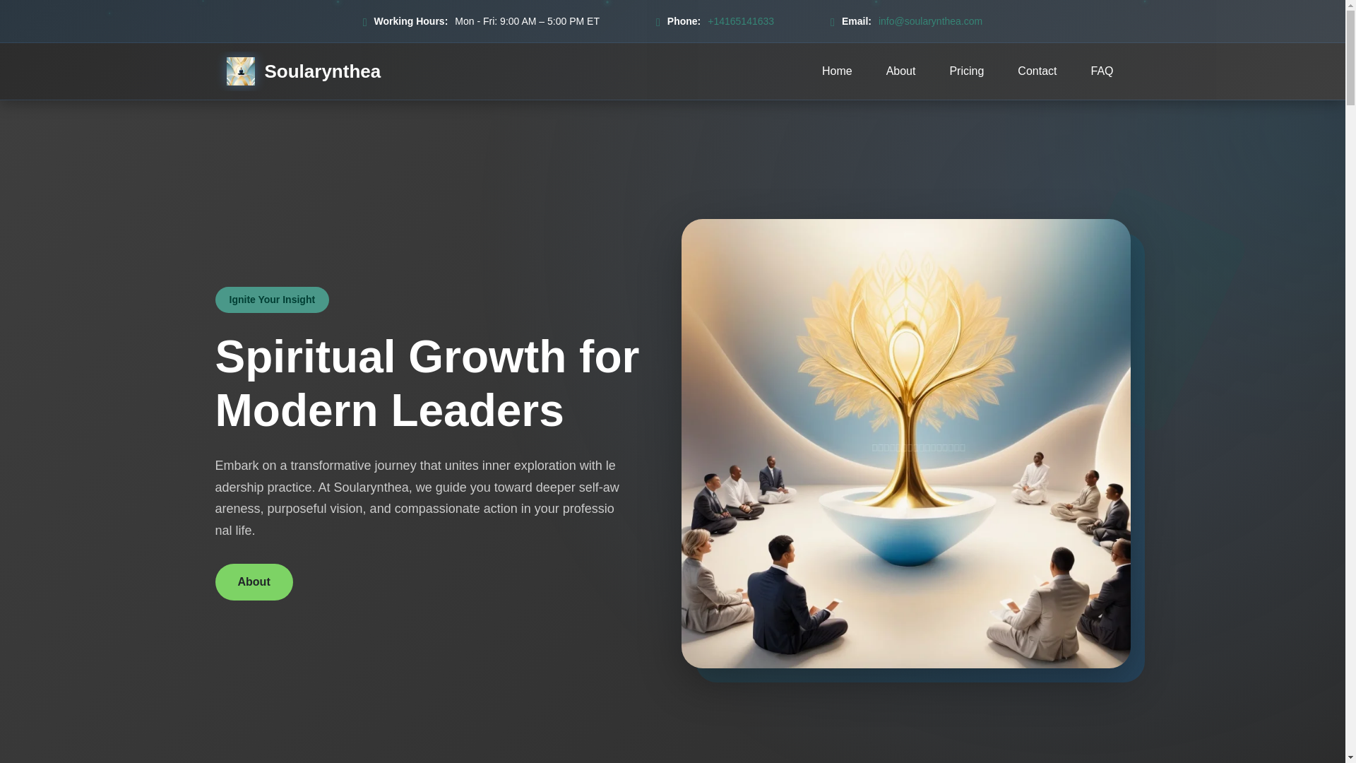 website screenshot of https://soularynthea.com/