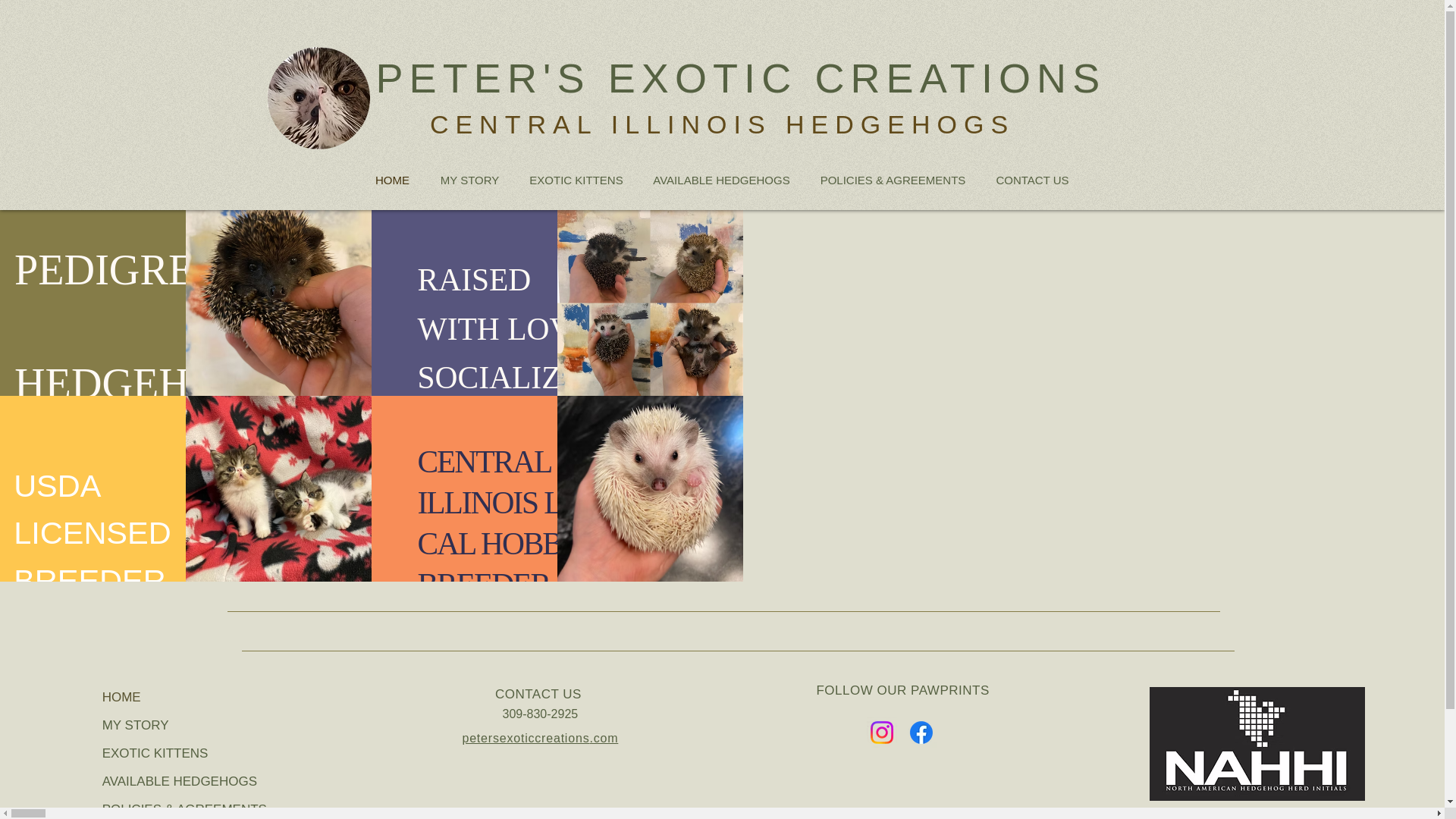 website screenshot of https://petersexotic.com/