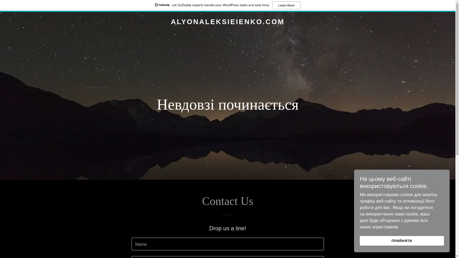 website screenshot of https://alyonaleksieienko.com/